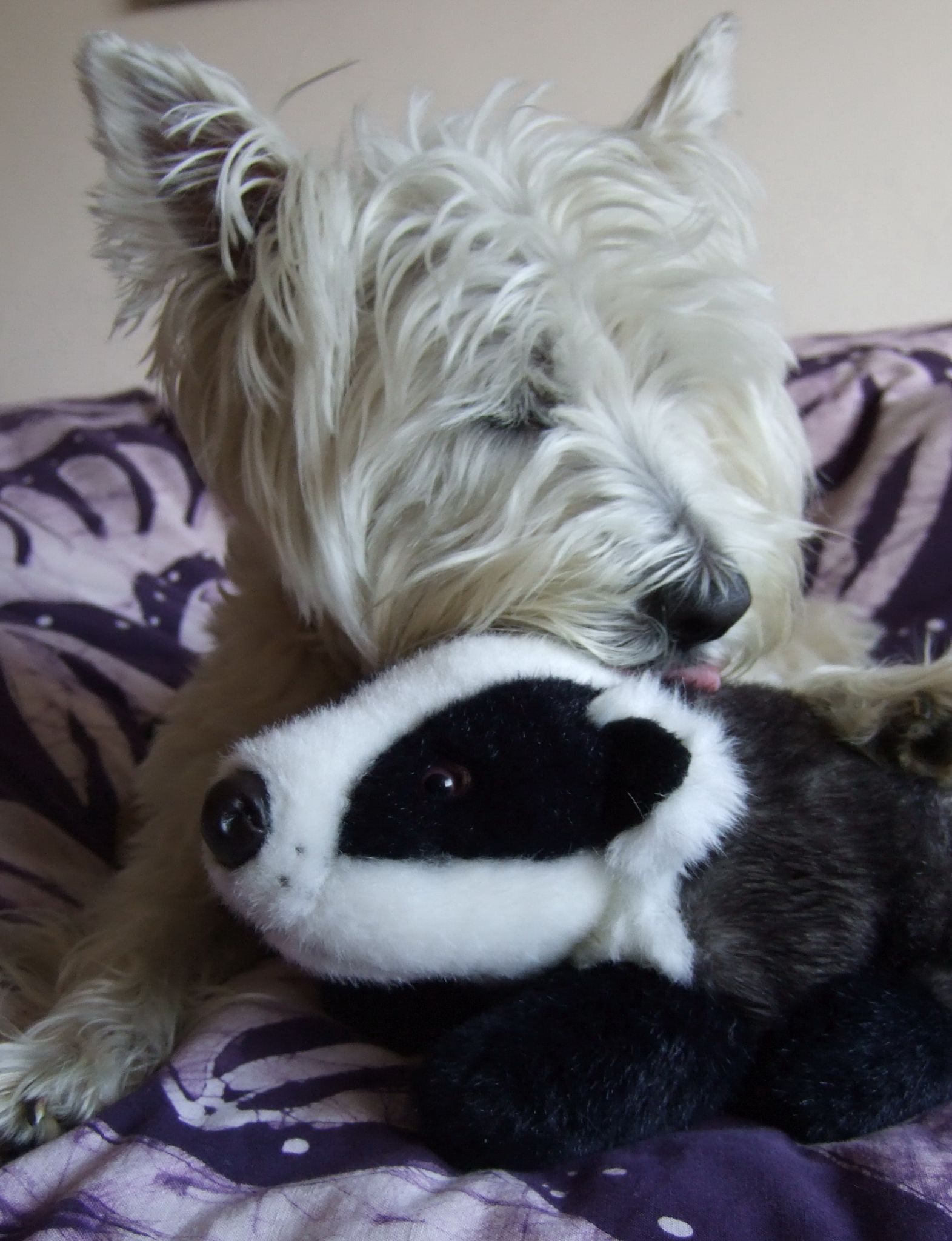 WinnieBadgerProtection